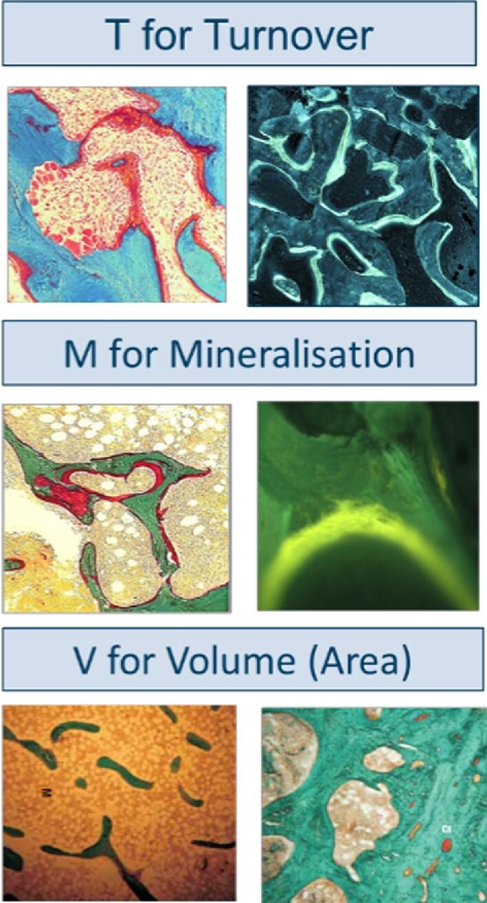 Figure 2: