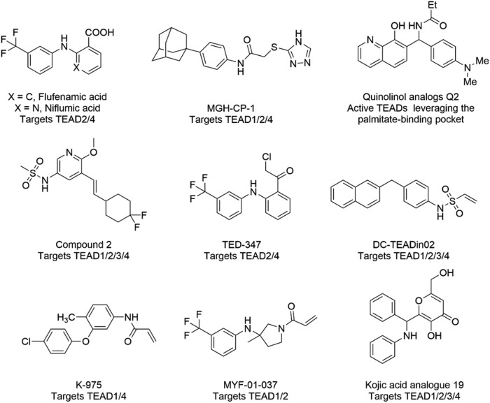 Figure 1