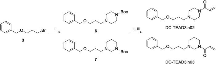 Scheme 3