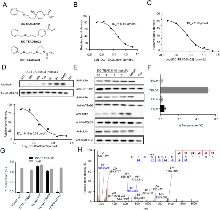 Figure 4