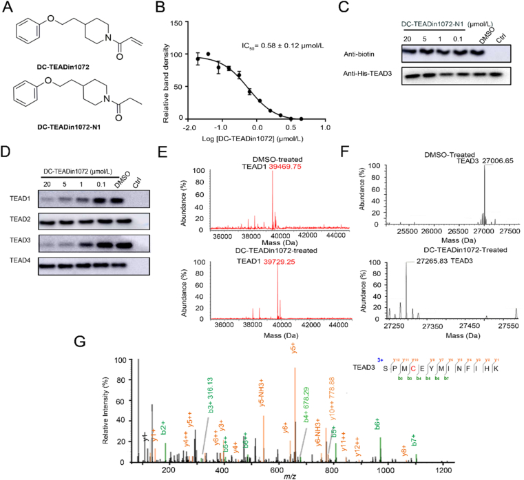 Figure 2