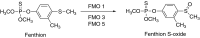 Fig. 18