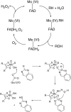 Fig. 29