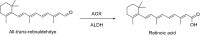 Fig. 38