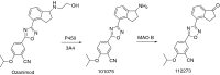 Fig. 22