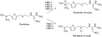 Fig. 10