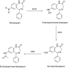 Fig. 44
