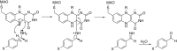 Fig. 21