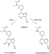 Fig. 36