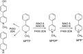 Fig. 26