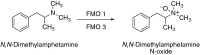 Fig. 12