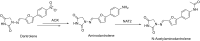 Fig. 45