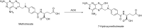 Fig. 47