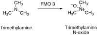Fig. 13