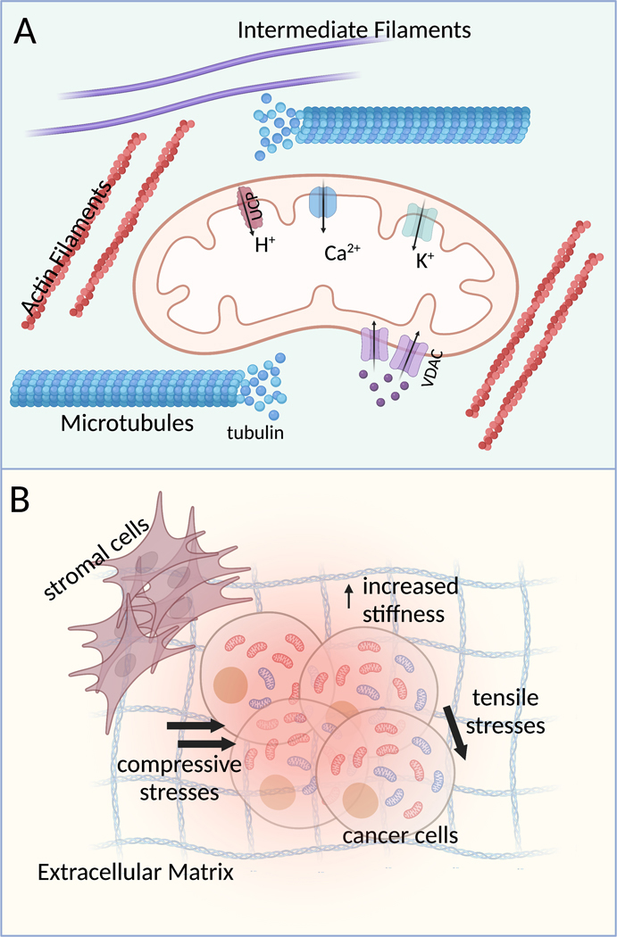 Figure 2: