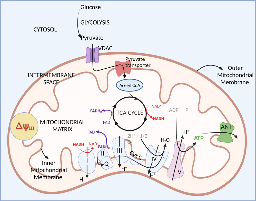 Figure 1: