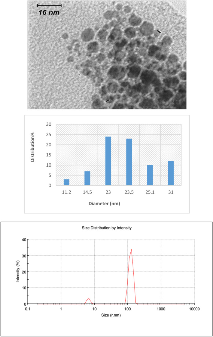 FIGURE 3