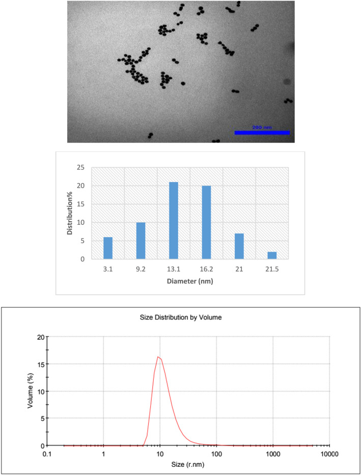 FIGURE 1