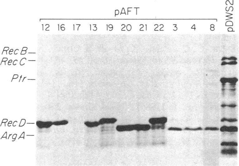 graphic file with name pnas00319-0215-a.jpg