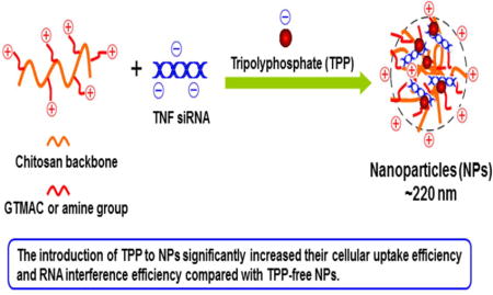 graphic file with name nihms834085u1.jpg