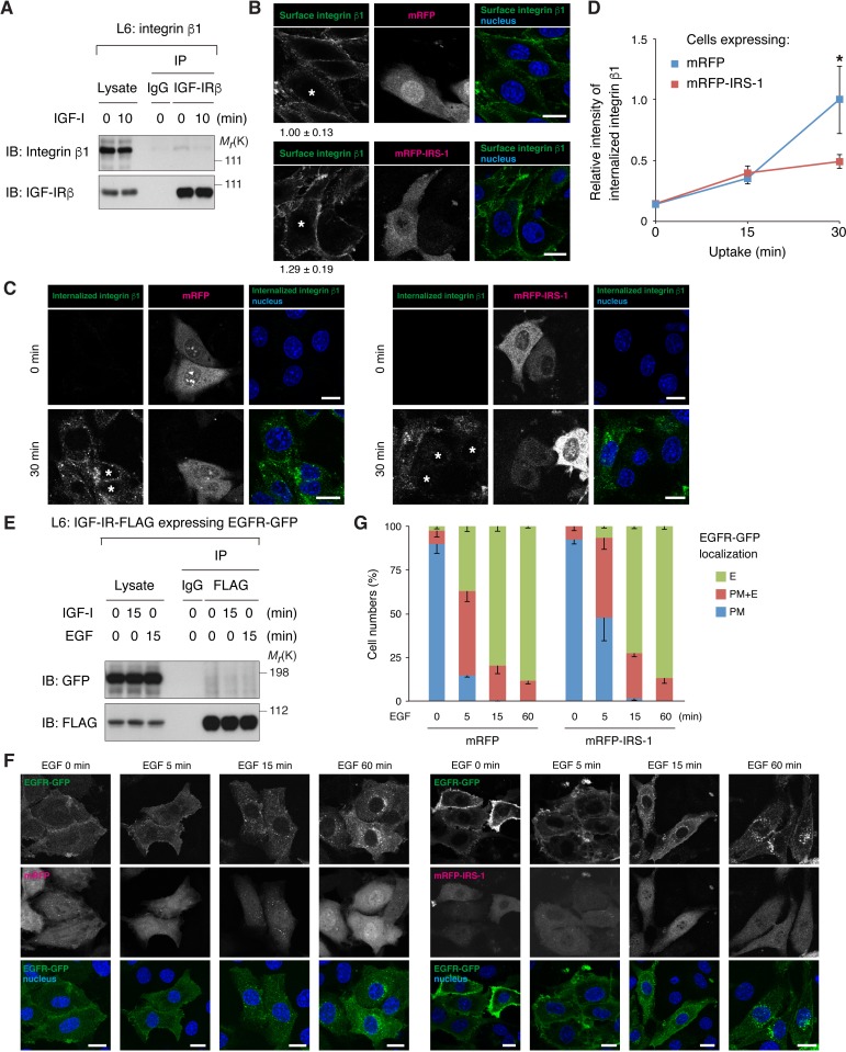 Figure 4—figure supplement 2.