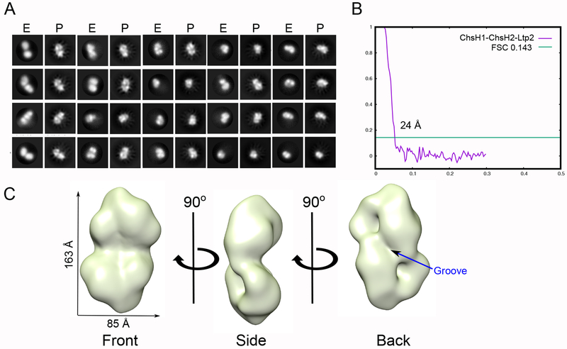 Figure 3.