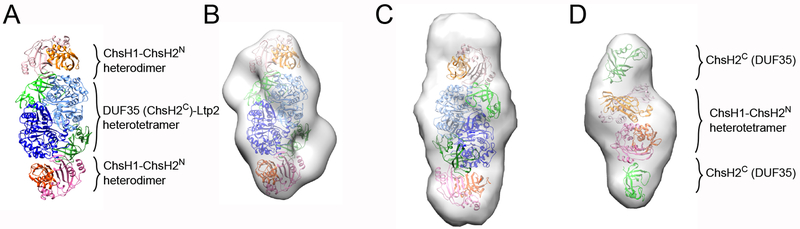 Figure 5.