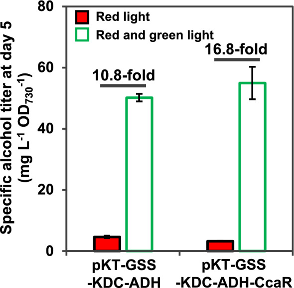 Fig. 4