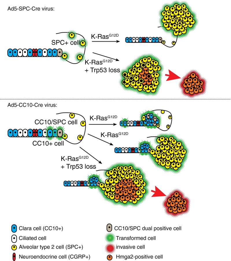 Fig. 6.