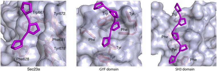 Fig. S1.