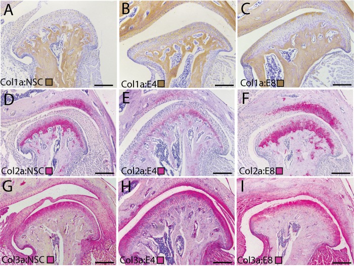 Fig 5