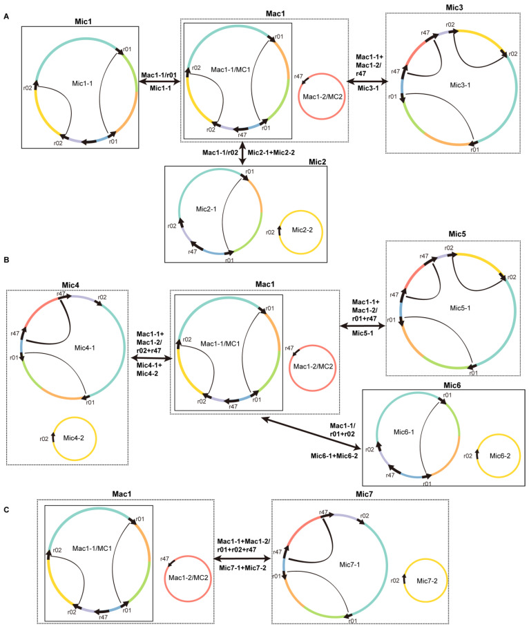 Figure 7