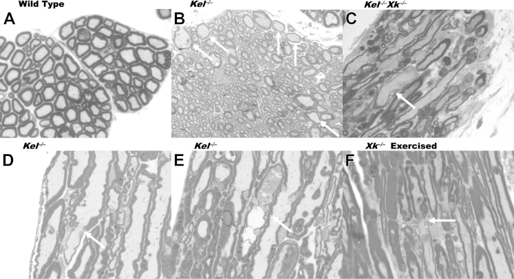 Figure 2