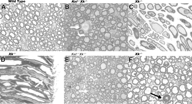 Figure 1