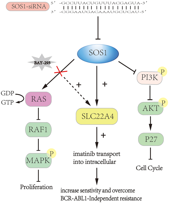 Figure 6