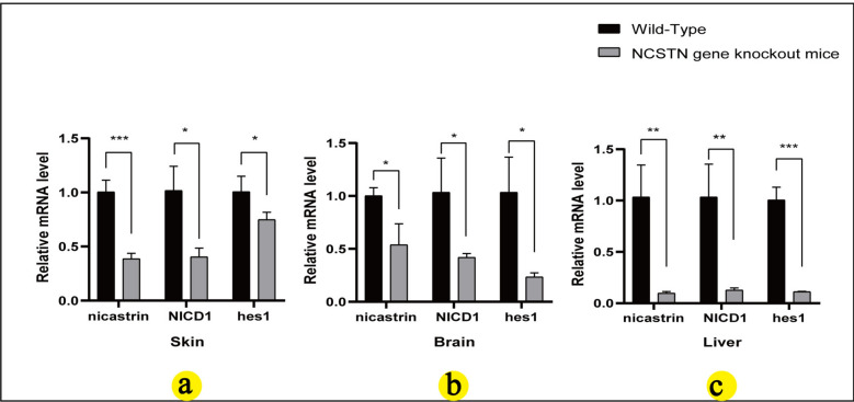 Fig. 7