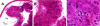 FIG. 5.