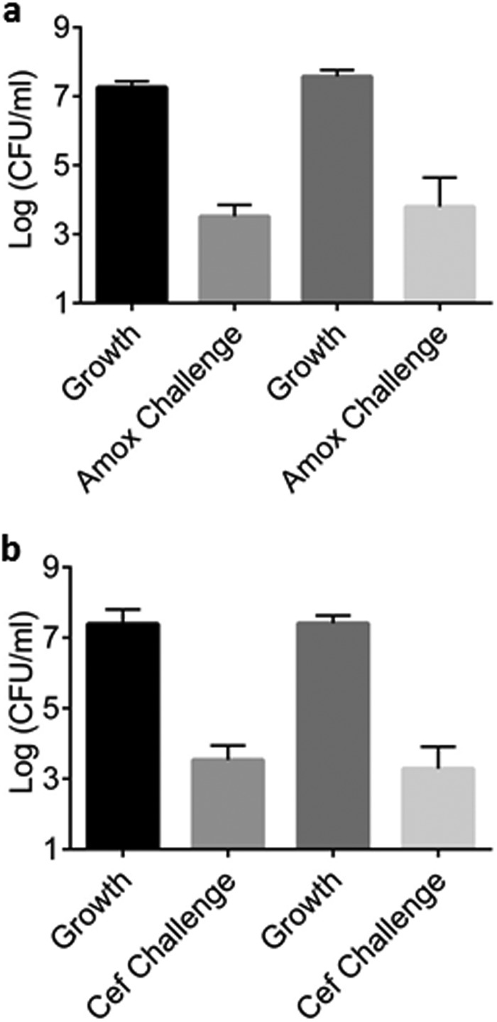 FIG 3