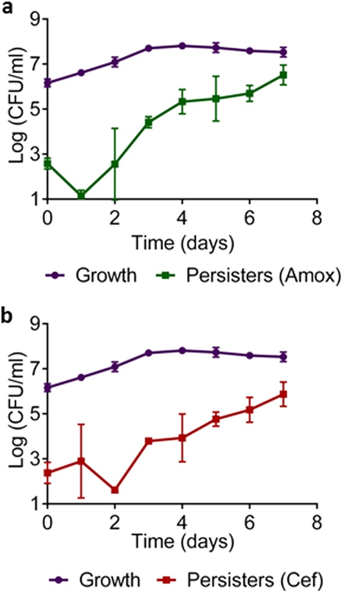 FIG 2