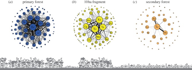 Figure 3.