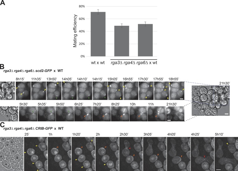 Figure 6.