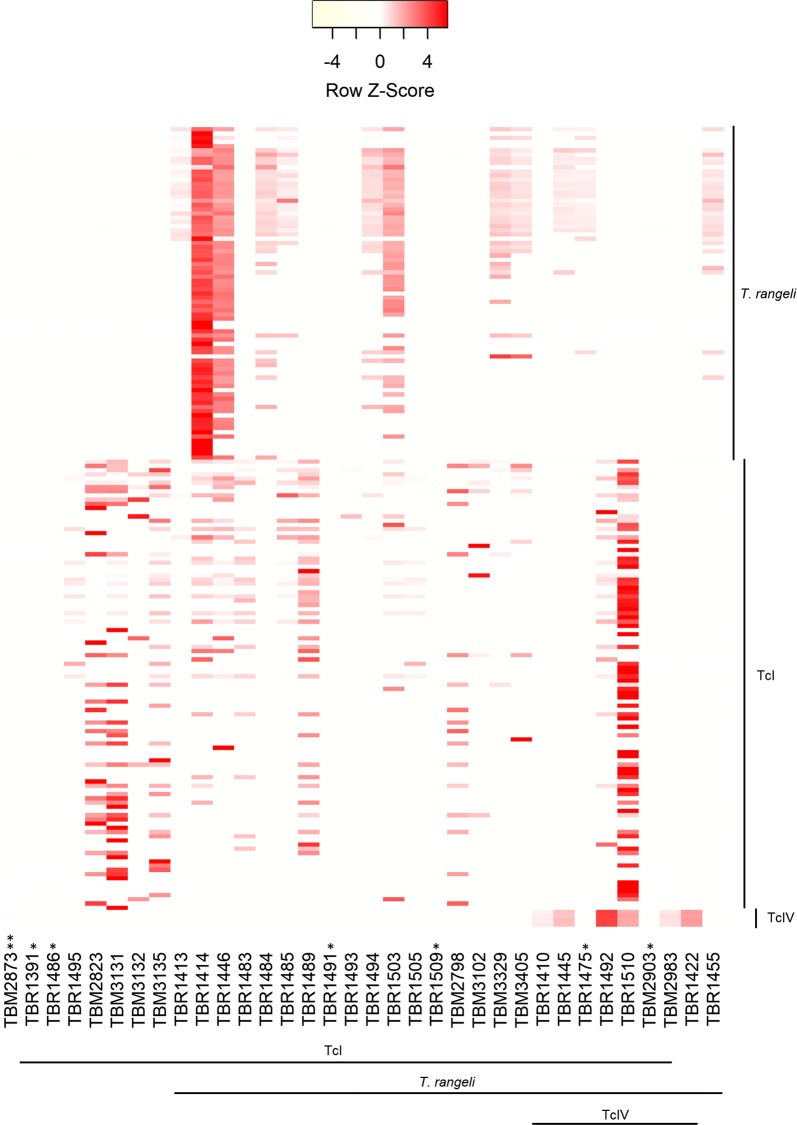 Fig. 3