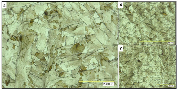 Figure 14