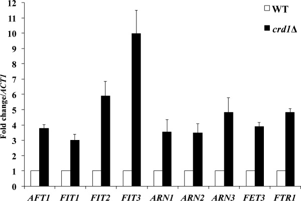 FIGURE 1.