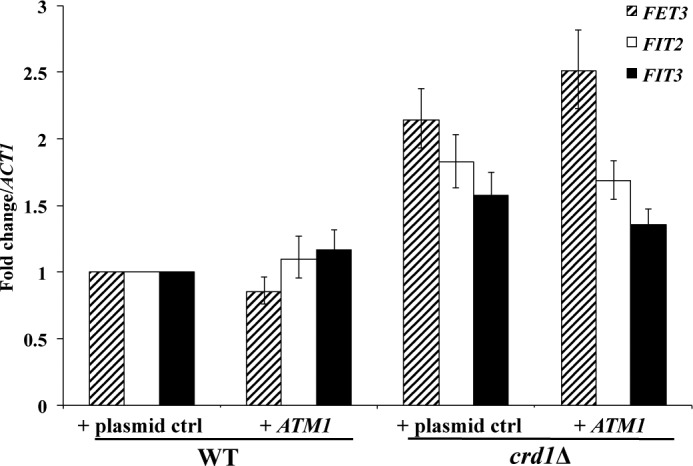 FIGURE 6.