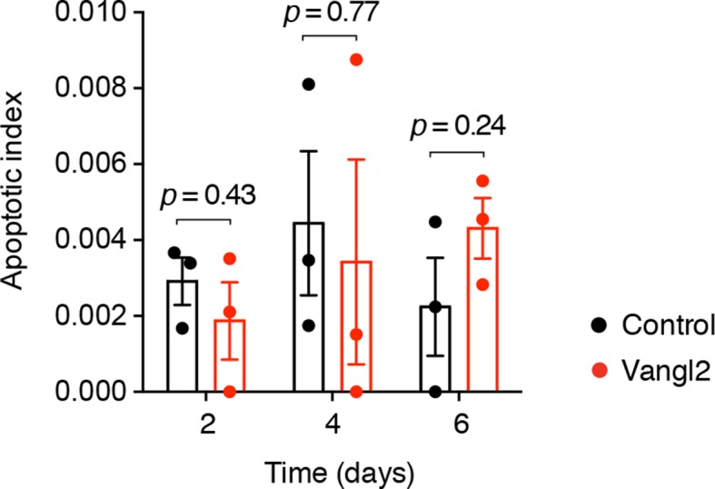 Figure 7—figure supplement 1.