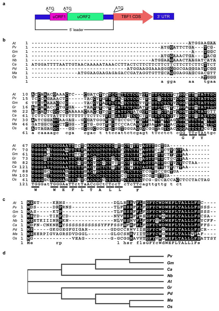 Extended Data Figure 1