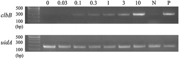 Fig. 1