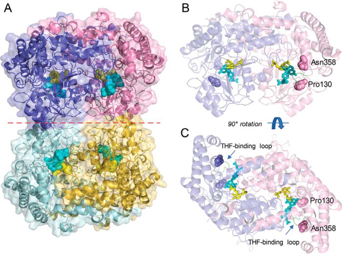 Figure 2.