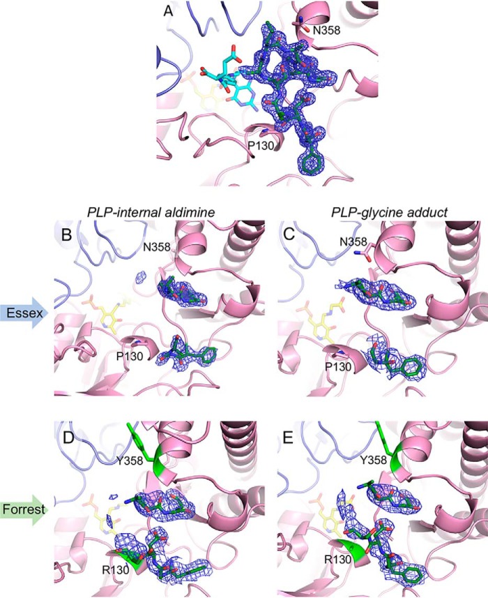 Figure 5.